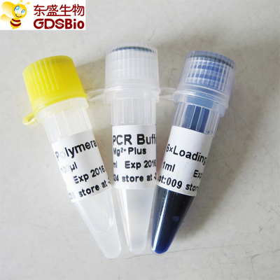 Tampon bleu de mélange de maître d'ACP de l'ADN polymérase de Taq P1011 500U